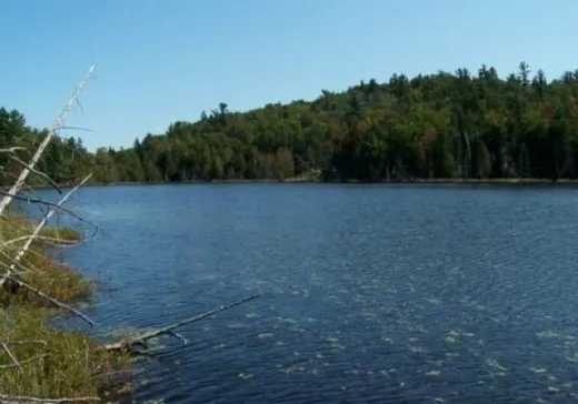 Terrain à vendre -  Av. du Lac-à-Lunettes, Chertsey, J0K 3K0