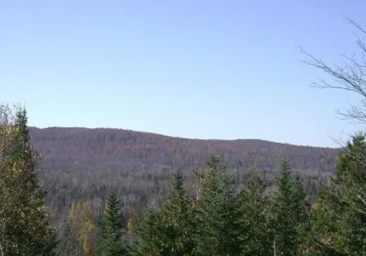 Terrain à vendre -  Av. du Lac-à-Lunettes, Chertsey, J0K 3K0