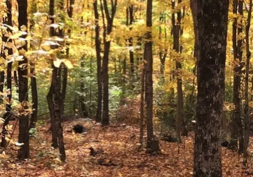 Land for Sale -  Rue Bigras, Brownsburg-Chatham, J8G 1A2