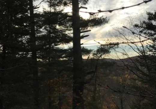 Land for Sale -  Rue Bigras, Brownsburg-Chatham, J8G 1A2