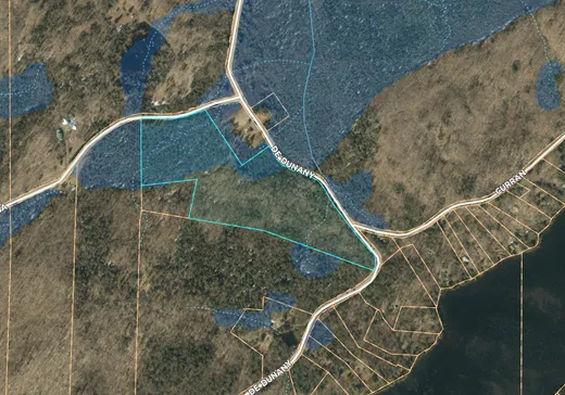 Terrain à vendre -  Ch. de Dunany, Wentworth, J8H0C7