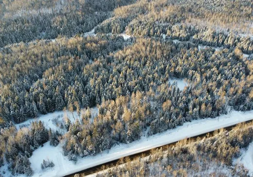 Terrain à vendre - A Ch. Principal, St-Mathieu-Du-Parc, G0X 1N0