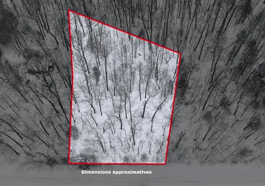 Terrain à vendre -  Rue Chisholm, Wentworth, J0T 1Y0