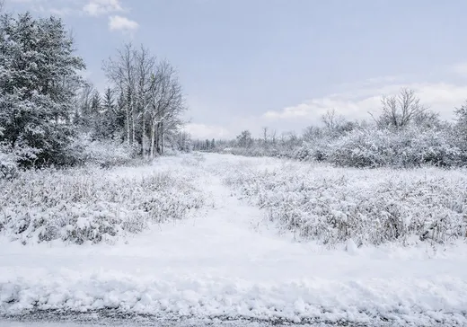 Land for sale -  Ch. Fontbonne, Preissac, J0Y2E0