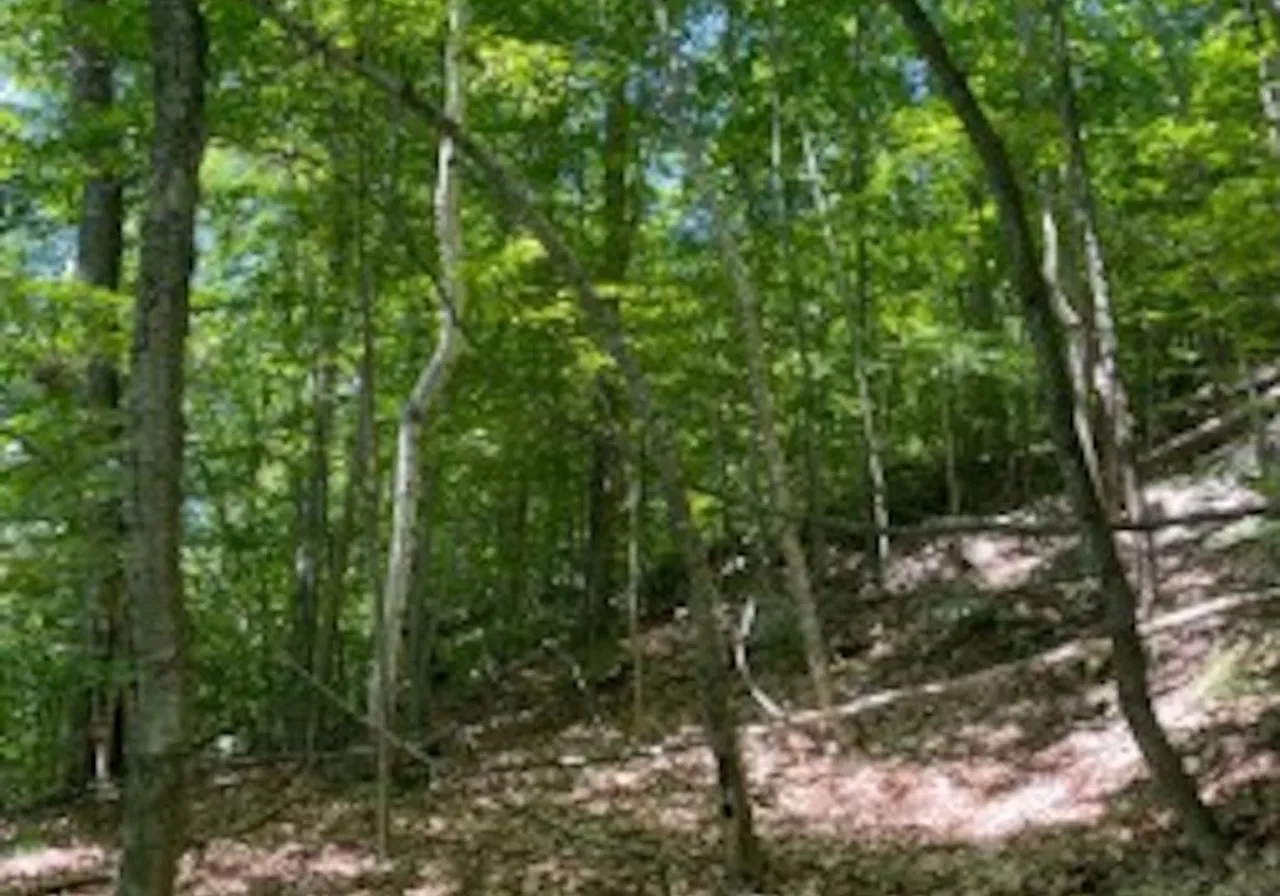 Ch. du Lac-Lentol — photo 2