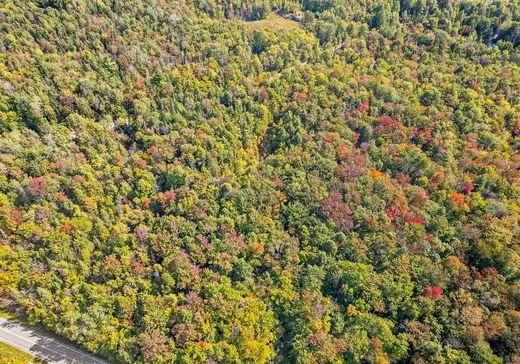 Land for Sale - 19 Ch. Laurendeau, Magog, J1X 0M6