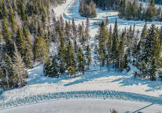 Terrain à vendre -  Rue des Géraniums, Val David, J0T2N0