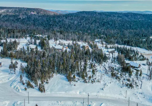 Terrain à vendre -  Rue de la Giroflée, Val David, J0T2N0