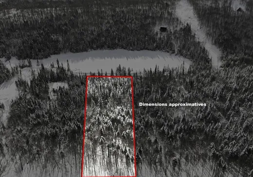 Terrain à vendre -  Mtée Brien, Lac Superieur, J0T 1J0