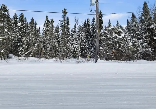 Terrain à vendre -  Mtée Brien, Lac Superieur, J0T 1J0