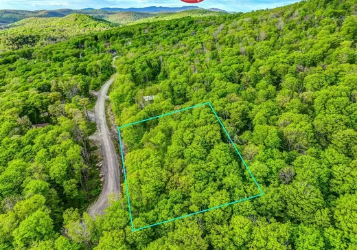 Terrain à vendre - 210 Allée des Weskarinis, Mont-Tremblant, J8E2H6