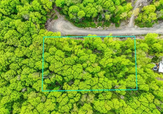 Terrain à vendre - 210 Allée des Weskarinis, Mont-Tremblant, J8E 2H6