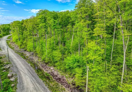 Terrain à vendre - 210 Allée des Weskarinis, Mont-Tremblant, J8E 2H6