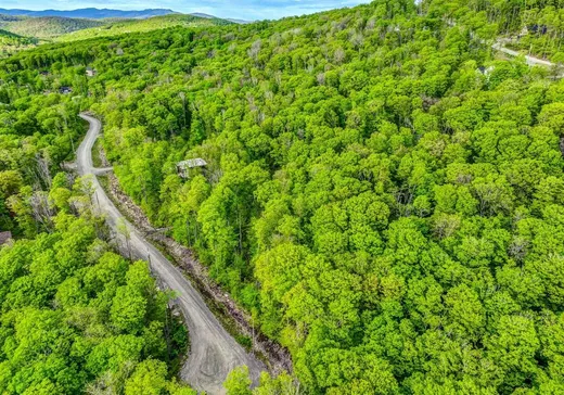 Terrain à vendre - 210 Allée des Weskarinis, Mont-Tremblant, J8E 2H6