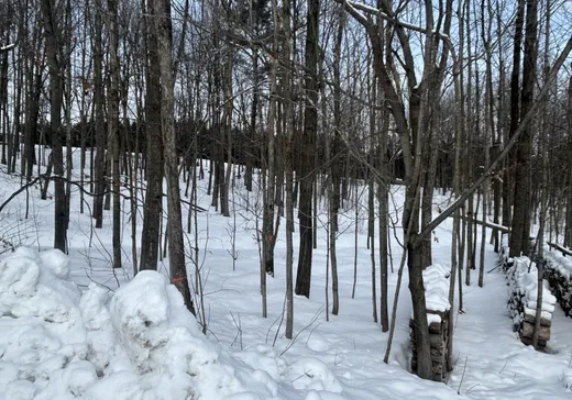 Terrain à vendre -  Rue de la Montagne, Waterloo, J0E1N0