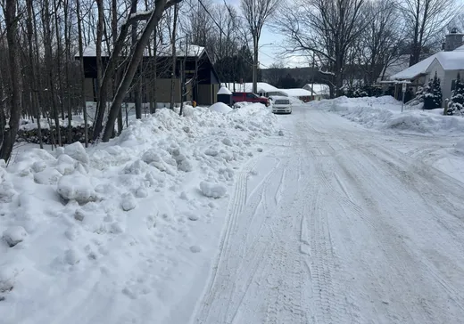 Terrain à vendre -  Rue de la Montagne, Waterloo, J0E 1N0