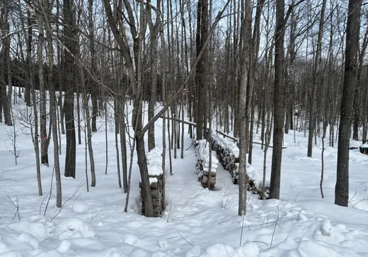 Terrain à vendre -  Rue de la Montagne, Waterloo, J0E 1N0