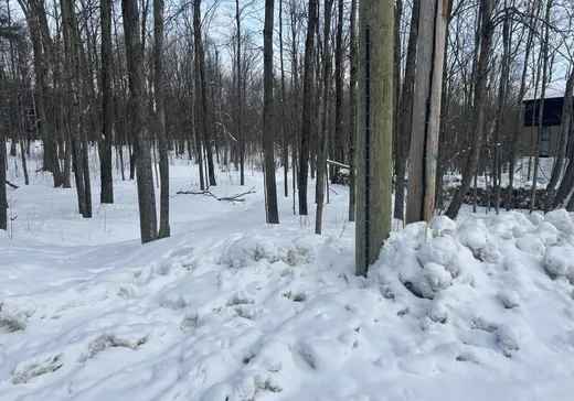 Terrain à vendre -  Rue de la Montagne, Waterloo, J0E 1N0