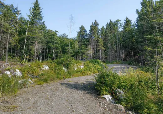 Land for Sale - 55 Ch. Maxime, Notre-Dame-Des-Boies, J0B 2E0