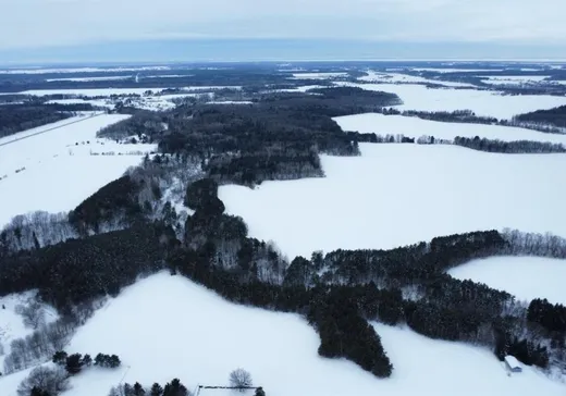 Terrain à vendre - 485 13e Rang E., St-Francois-Du-Lac, J0G1R0