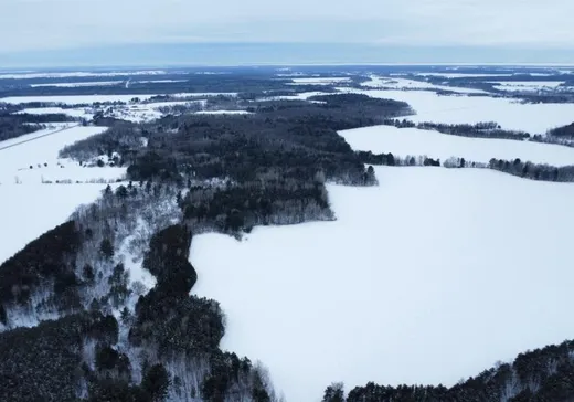 Terrain à vendre - 485 13e Rang E., St-Francois-Du-Lac, J0G 1R0