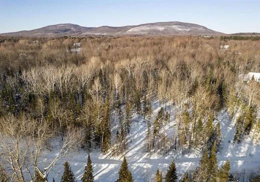 Land for Sale - 80 Rue de Sheffington, Bromont, J2L 0B6