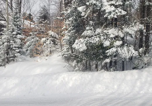 Terrain à vendre -  Rue du Mont-Blanc, Sainte-Agathe-des-Monts, J8C 0T9