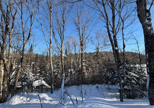 Terrain à vendre -  Ch. du Val-des-Bois, St-Adolphe d'Howard, J0T2B0