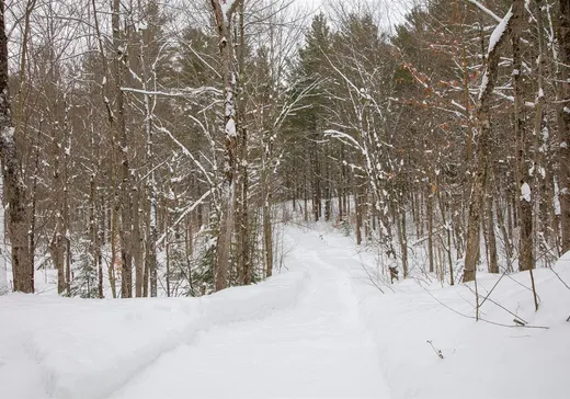 Land for sale - 323 Ch. Bellevue, Bolton-Est, J0E1G0