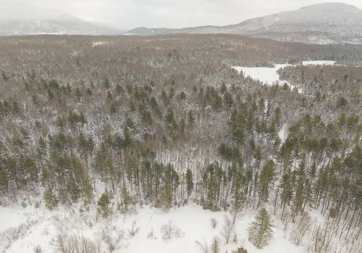 Land for Sale - 323 Ch. Bellevue, Bolton-Est, J0E 1G0