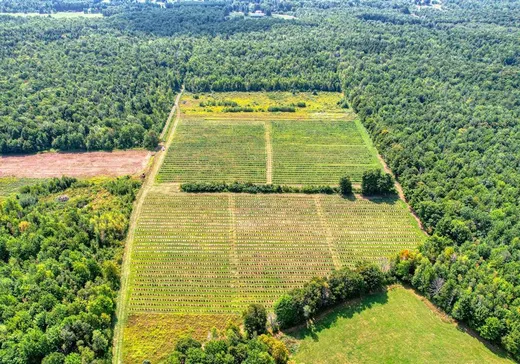 Land for sale - 3027Z Ch. de Covey Hill, Franklin, J0S1E0