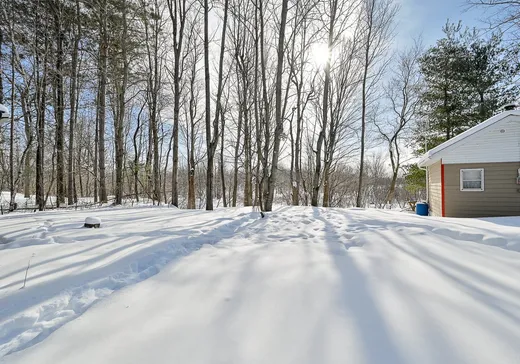 Terrain à vendre - 516 Mtée des Pins, Upton, J0H2E0