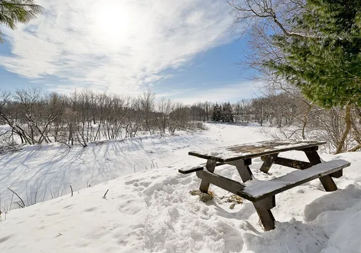 Terrain à vendre - 516 Mtée des Pins, Upton, J0H 2E0