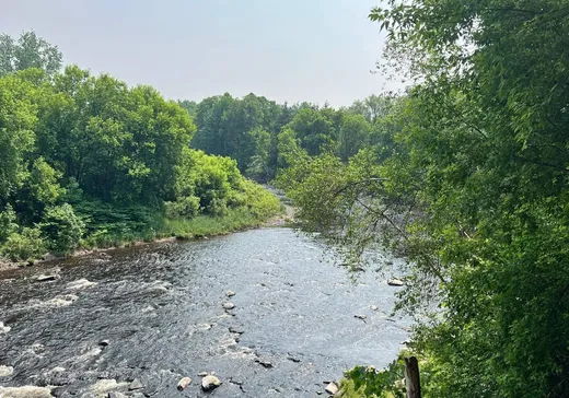 Terrain à vendre - 516 Mtée des Pins, Upton, J0H 2E0