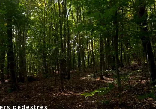 Land for Sale -  Rue du Génévrier, Val David, J0T 2N0