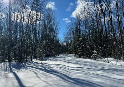 Land for Sale - 6675 8e Rang, Saint-Lucien, J0C 1N0