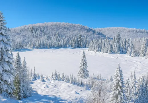 Land for Sale -  10e Rang, Saint-Calixte, J0K 1Z0