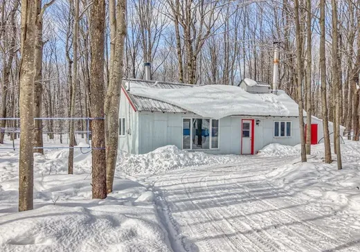 Terrain à vendre - 529 12e Rang O., Plessisville, G6L5L1