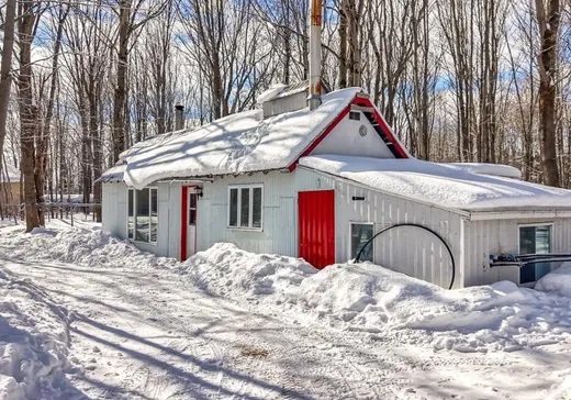 Terrain à vendre - 529 12e Rang O., Plessisville, G6L 5L1