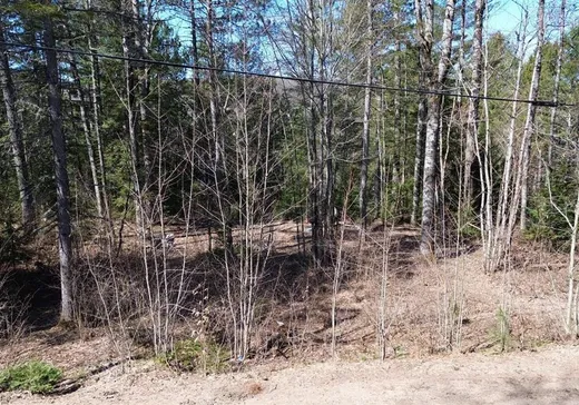 Land for Sale - 47 Ch. Hughes, Otter Lake, J0X 2P0