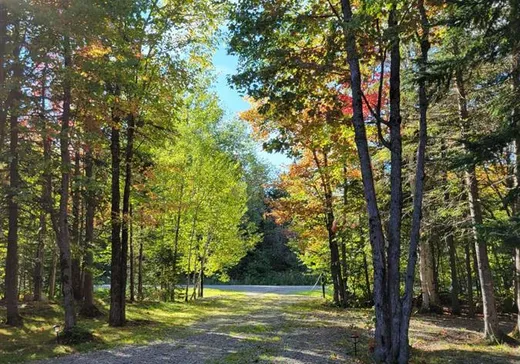 Terrain à vendre - 719 Rg Tout-de-Joie, Woburn, G0Y1R0