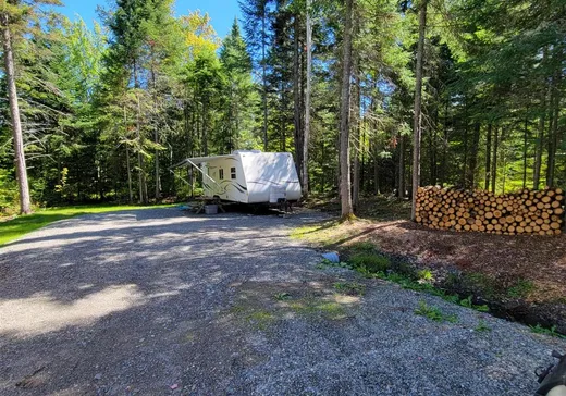Terrain à vendre - 719 Rg Tout-de-Joie, Woburn, G0Y 1R0