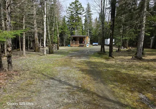 Terrain à vendre - 719 Rg Tout-de-Joie, Woburn, G0Y 1R0