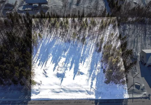 Terrain à vendre - 898 Rue Rodrigue, Saint-René, G0M 1Z0
