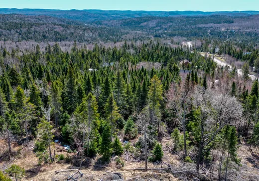 Land for Sale -  Rue du Génévrier, Val David, J0T 2N0