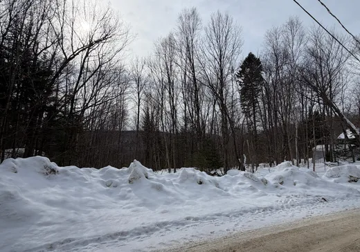 Land for Sale -  Ch. des Marronniers, St-Adolphe d'Howard, J0T 2B0