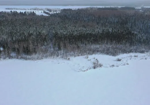 Land for Sale -  Route 117, L'Ascension, J0T 1W0