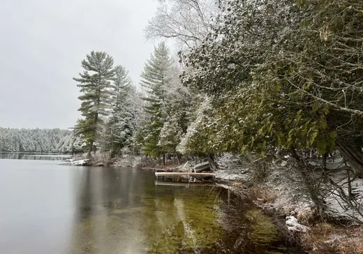 Land for Sale -  Ch. du Lac-de-la-Grange, Val Morin, J0T 2T0