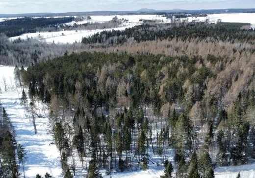 Land for Sale - 123 Ch. Domon, Weedon, J0B 3J0