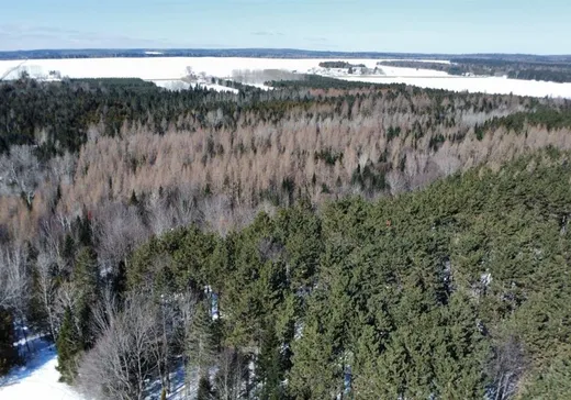 Land for Sale - 123 Ch. Domon, Weedon, J0B 3J0